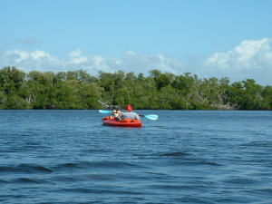 Kayaking Bonita Springs - Island Coast Transportation